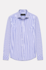 Striped Buttoned Shirt - Blue & White